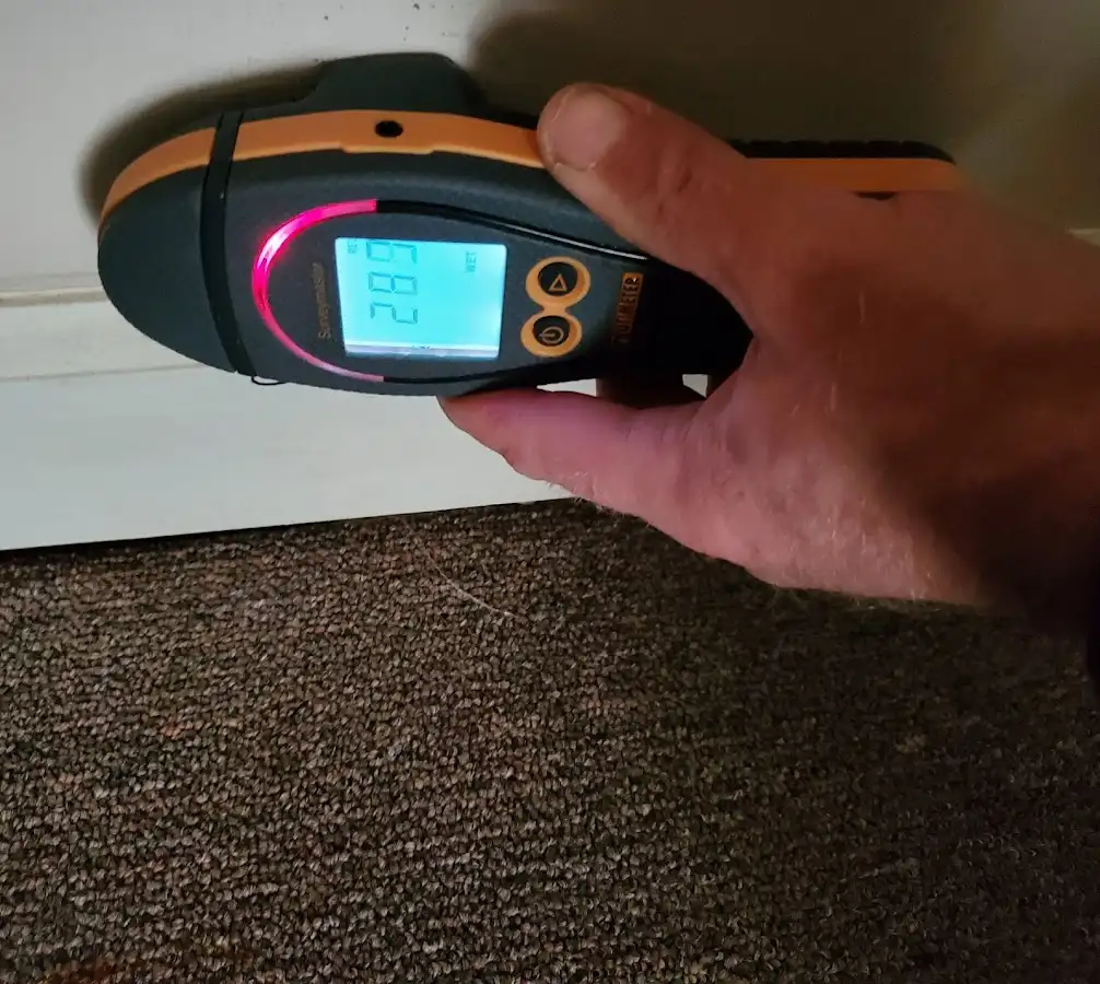 Moisture detection at baseboard during Mold Inspection & Testing in Upper Allen